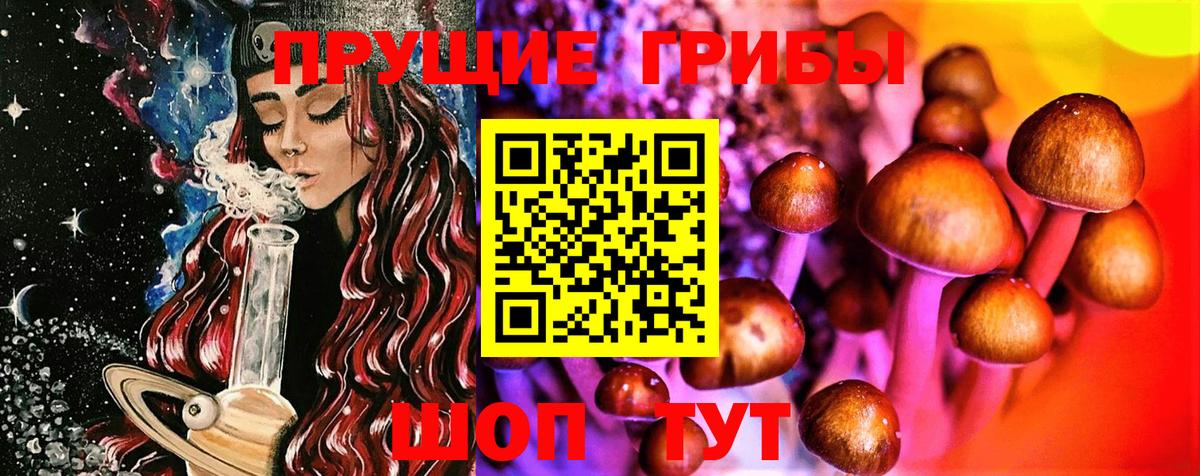 Галлюциногенные грибы мицелий Волгоград