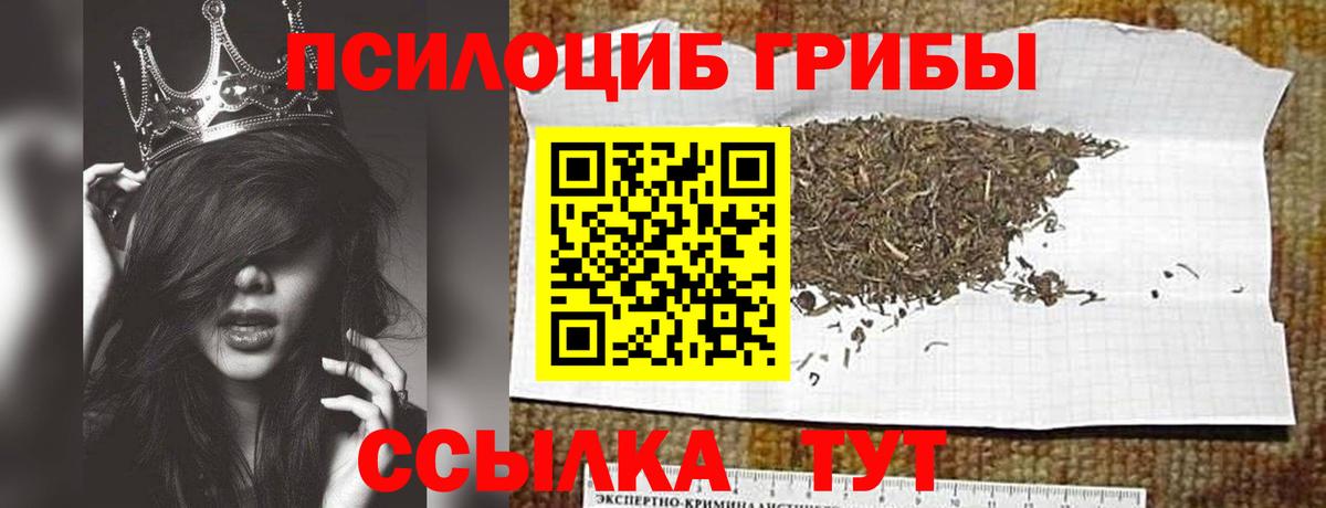 наркота  Вход с VPN  Волгоград  Псилоцибиновые грибы Magic Shrooms 